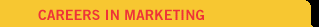 Careers in Marketing
